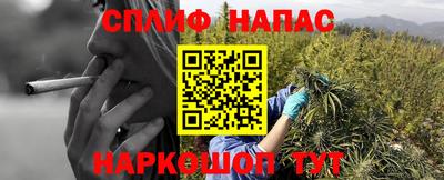 spice Бузулук